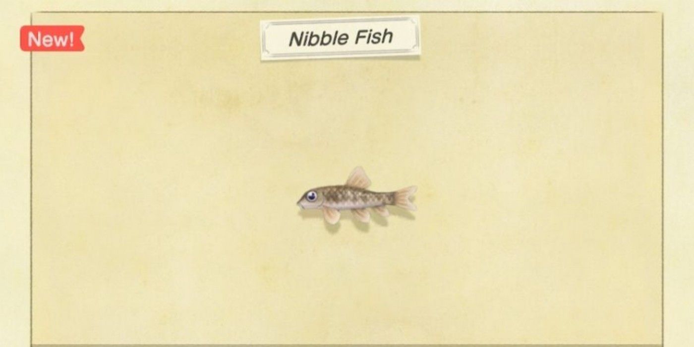 How to Catch Nibble Fish in Animal Crossing: New Horizons