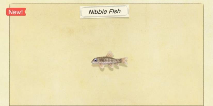 catch nibble fish new horizons