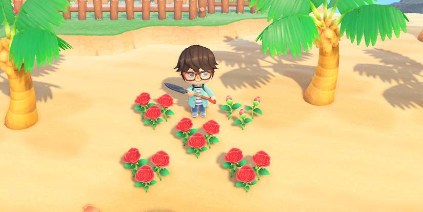 animal crossing new horizons black roses