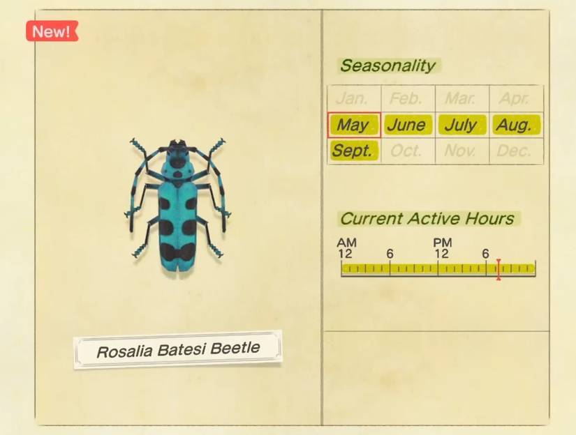 animal crossing rosalia batesi description