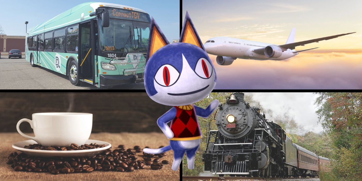 Animal Crossing New Horizons Who is Rover?