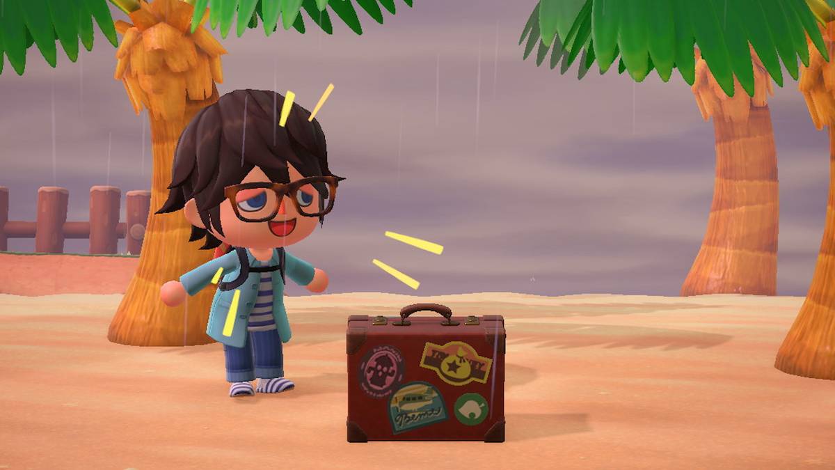 what to do with rovers briefcase animal crossing new horizons