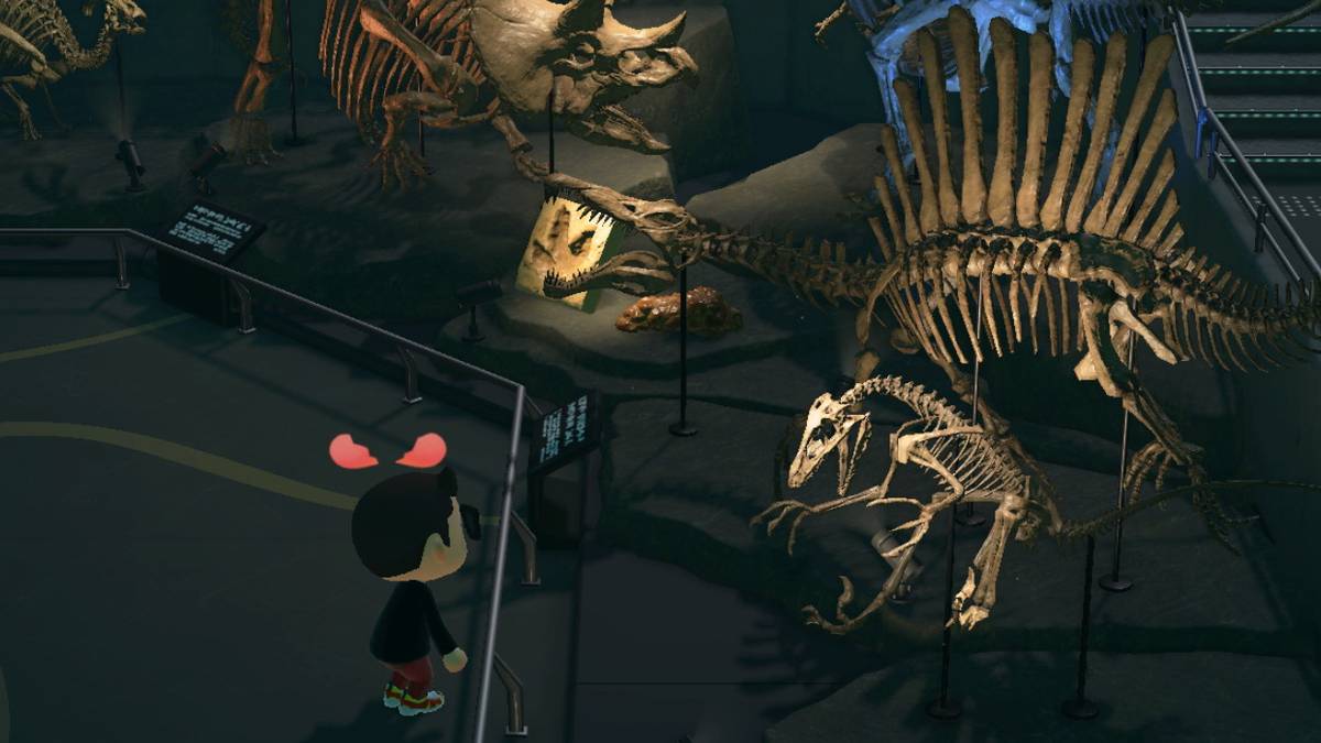 paleontology fossil discovery nature