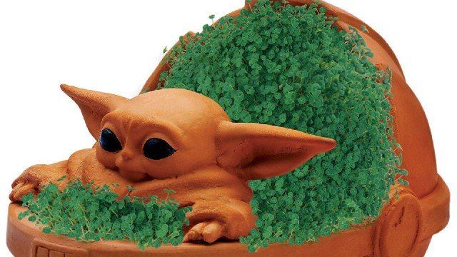 Baby Yoda Chia Pet