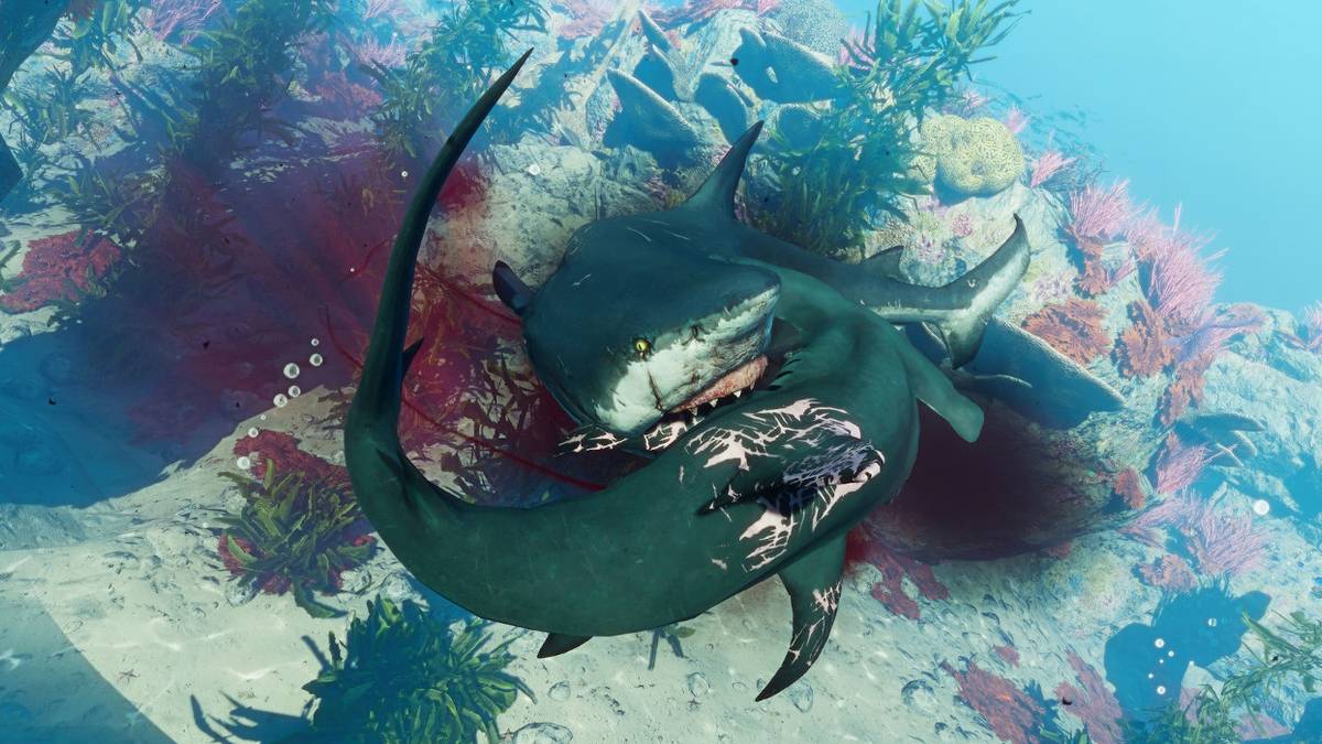 maneater fawtick bayou collectible locations