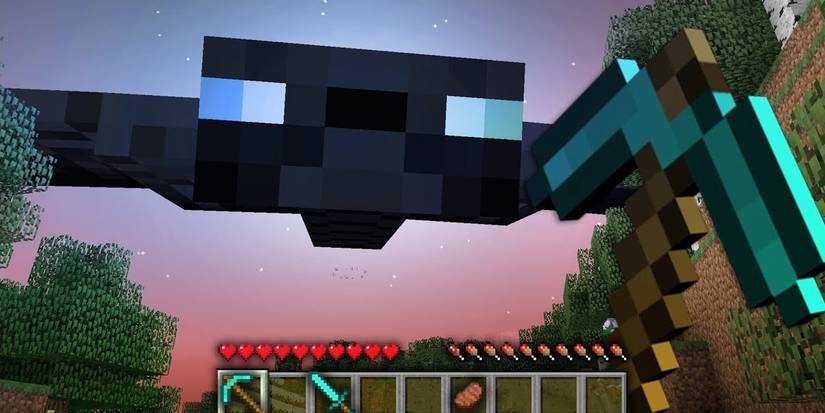 phanhom video Cropped