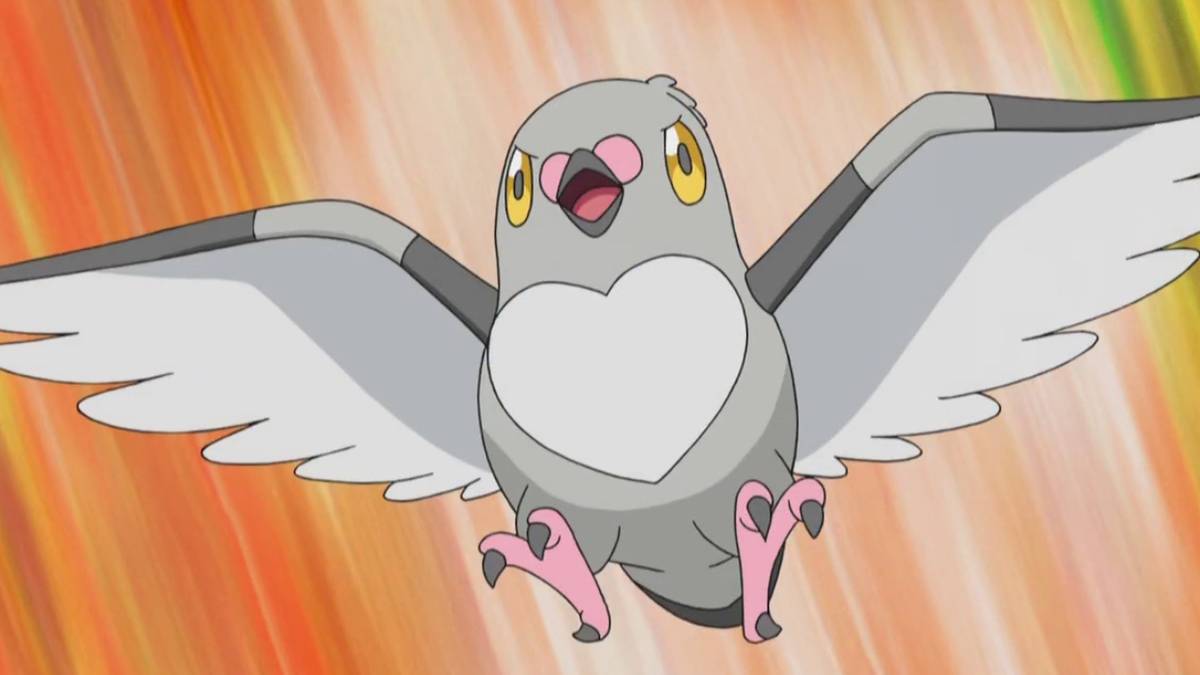 find pookoo campaign reddit