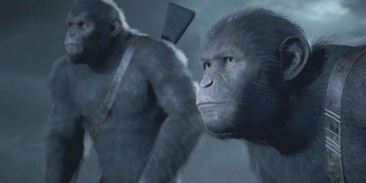 New of the Apes Movie Set in Same Universe as Recent Trilogy