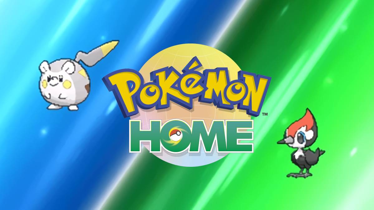 sun and moon togedemaru pikipek