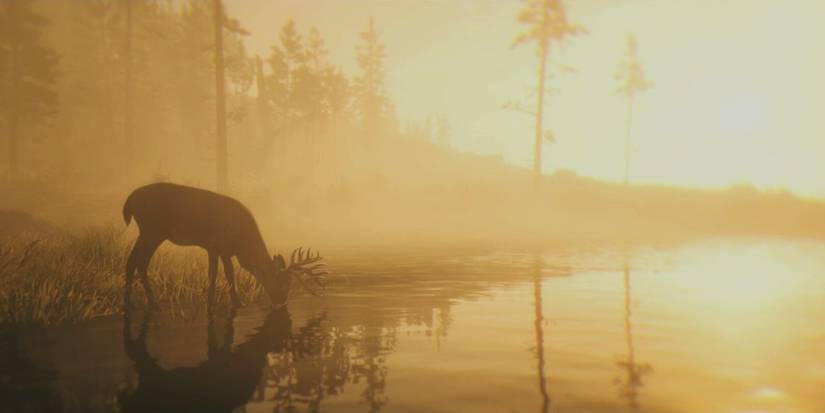 rdr2 buck drinking water