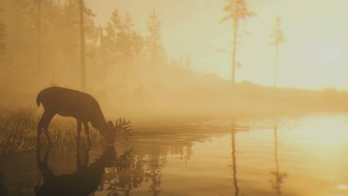 rdr2 buck drinking water