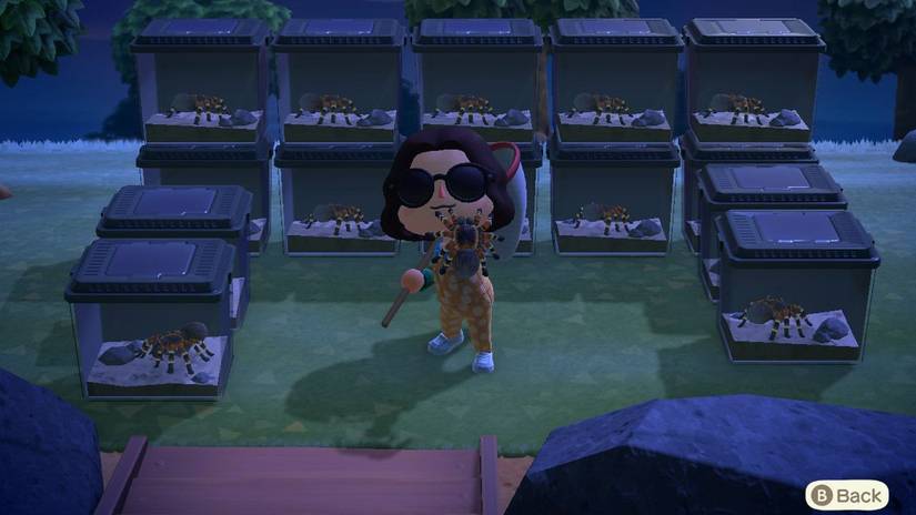 Tarantula Farming in Animal Crossing New Horizons