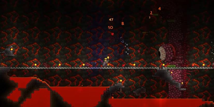 terraria 1.4 whips