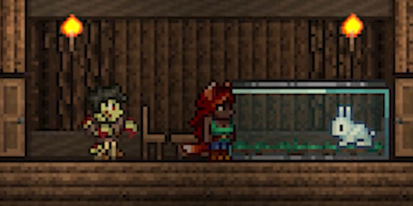 zoologist terraria sexy