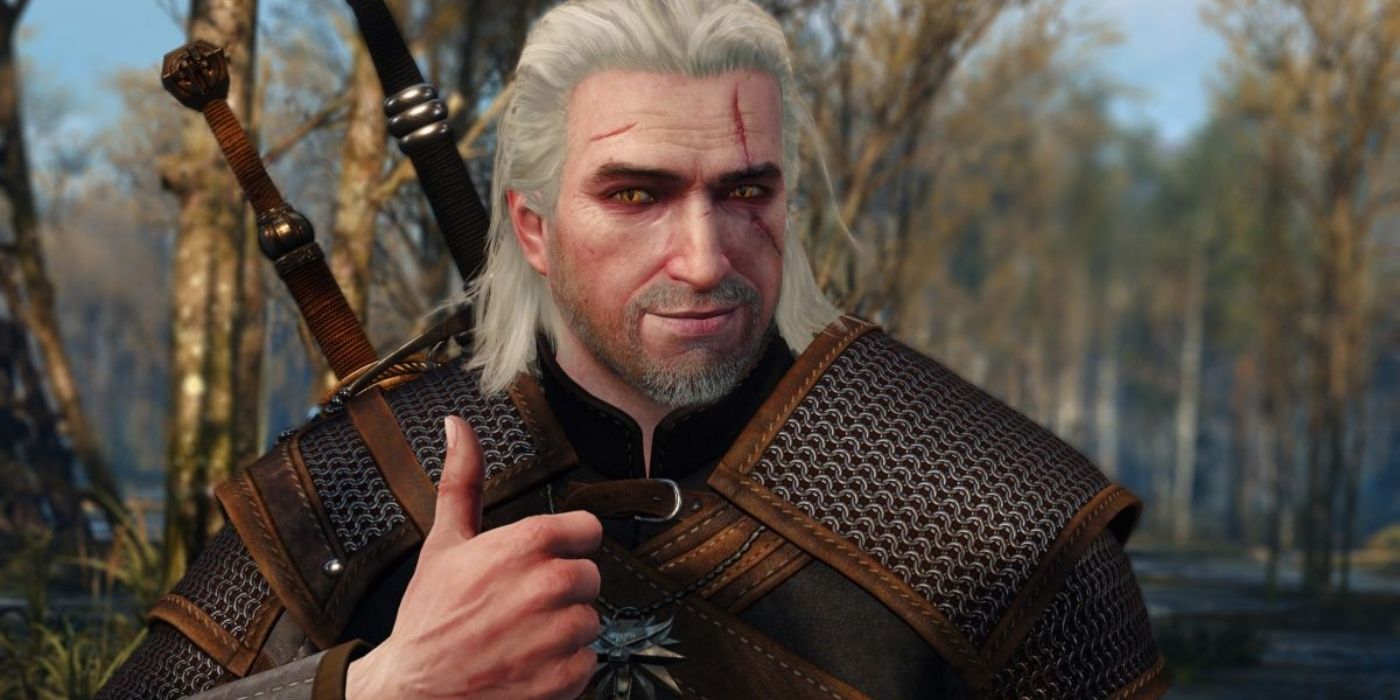 the witcher