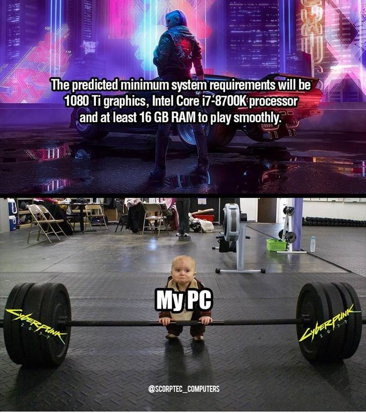 Frostbitten Cat Becomes First In The World To Receive Four Titanium Paws Cyberpunk Meme