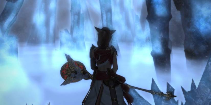 ffxiv snowcloak
