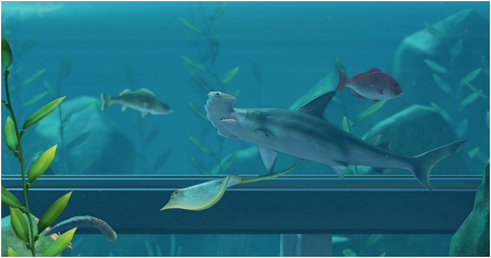 Most Expensive Fish in Animal Crossing New Horizons