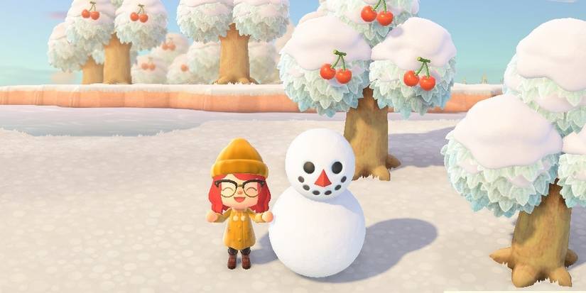 Animal Crossing New Horizons Snowboy