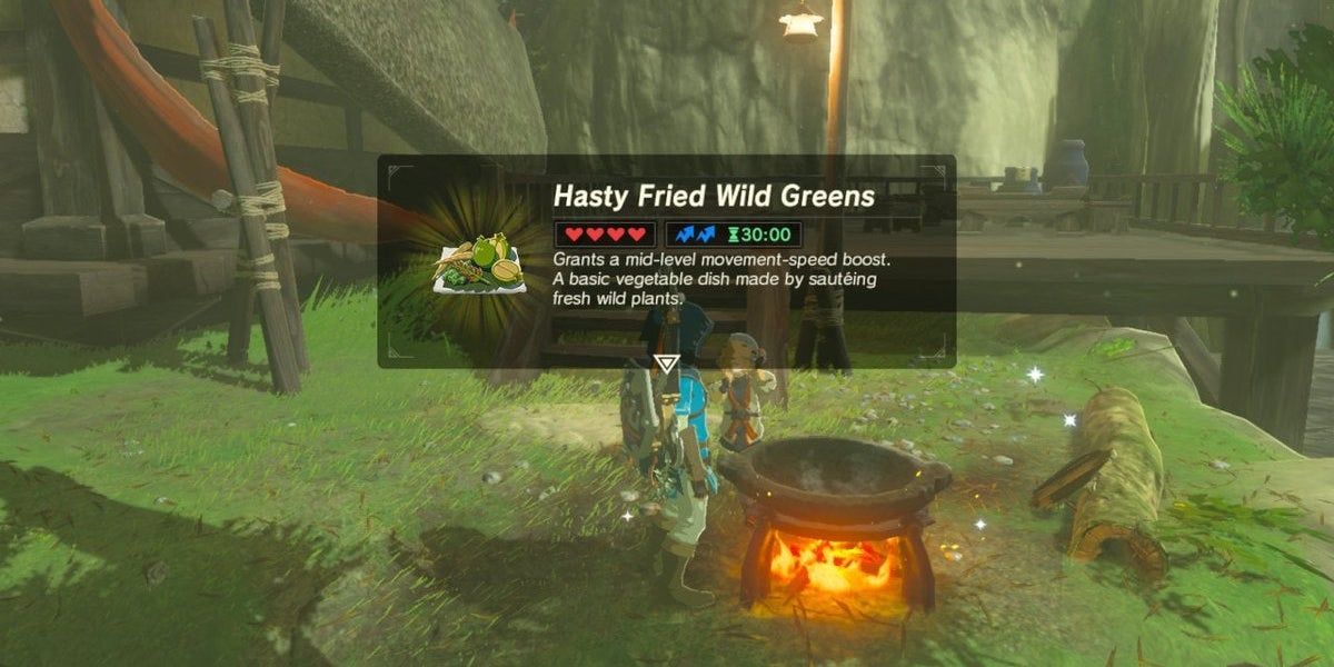 Breath of the Wild Cooking
