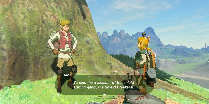 Breath of the Wild Shield Surf