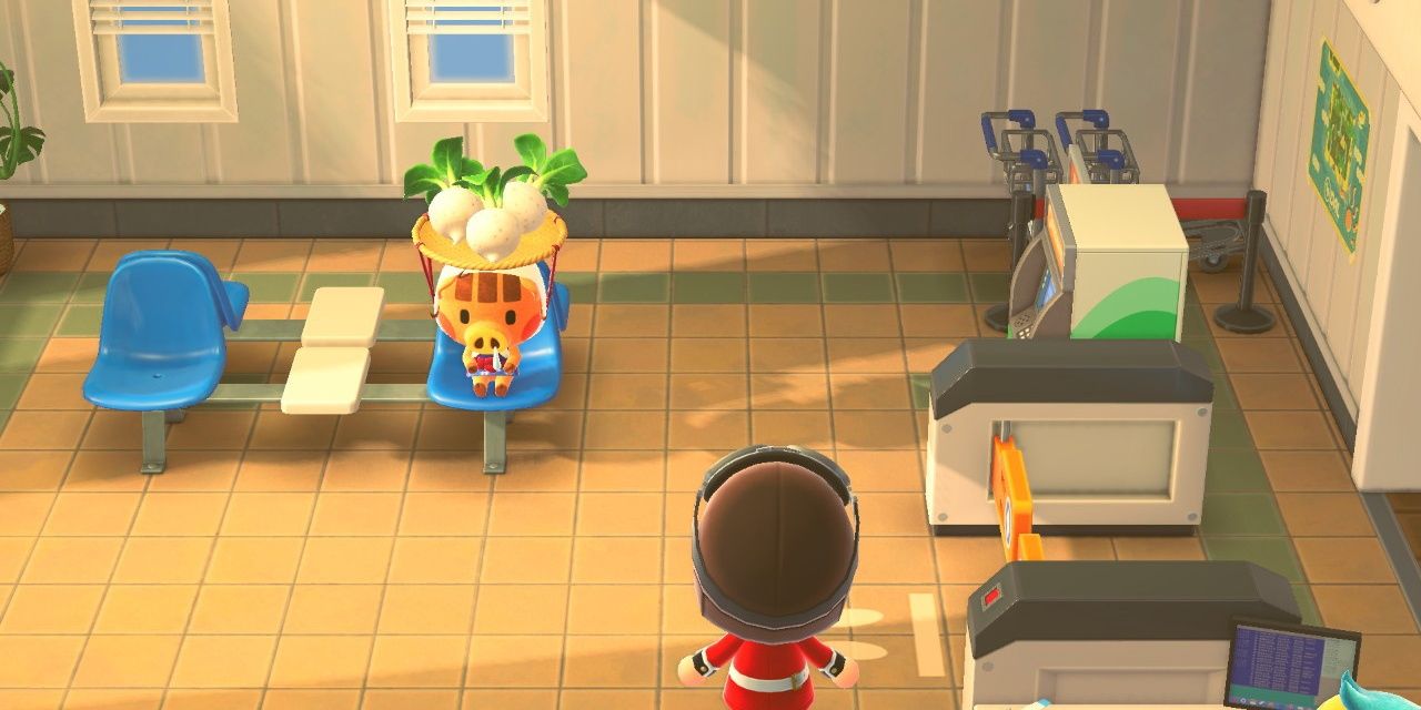 Animal Crossing 10 Unanswered Questions We Still Have About Daisy Mae