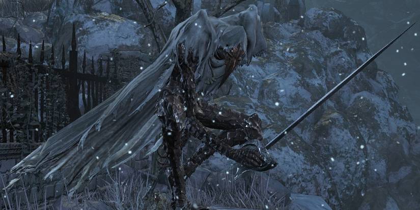 https://darksouls.fandom.com/wiki/Corvian_Knight