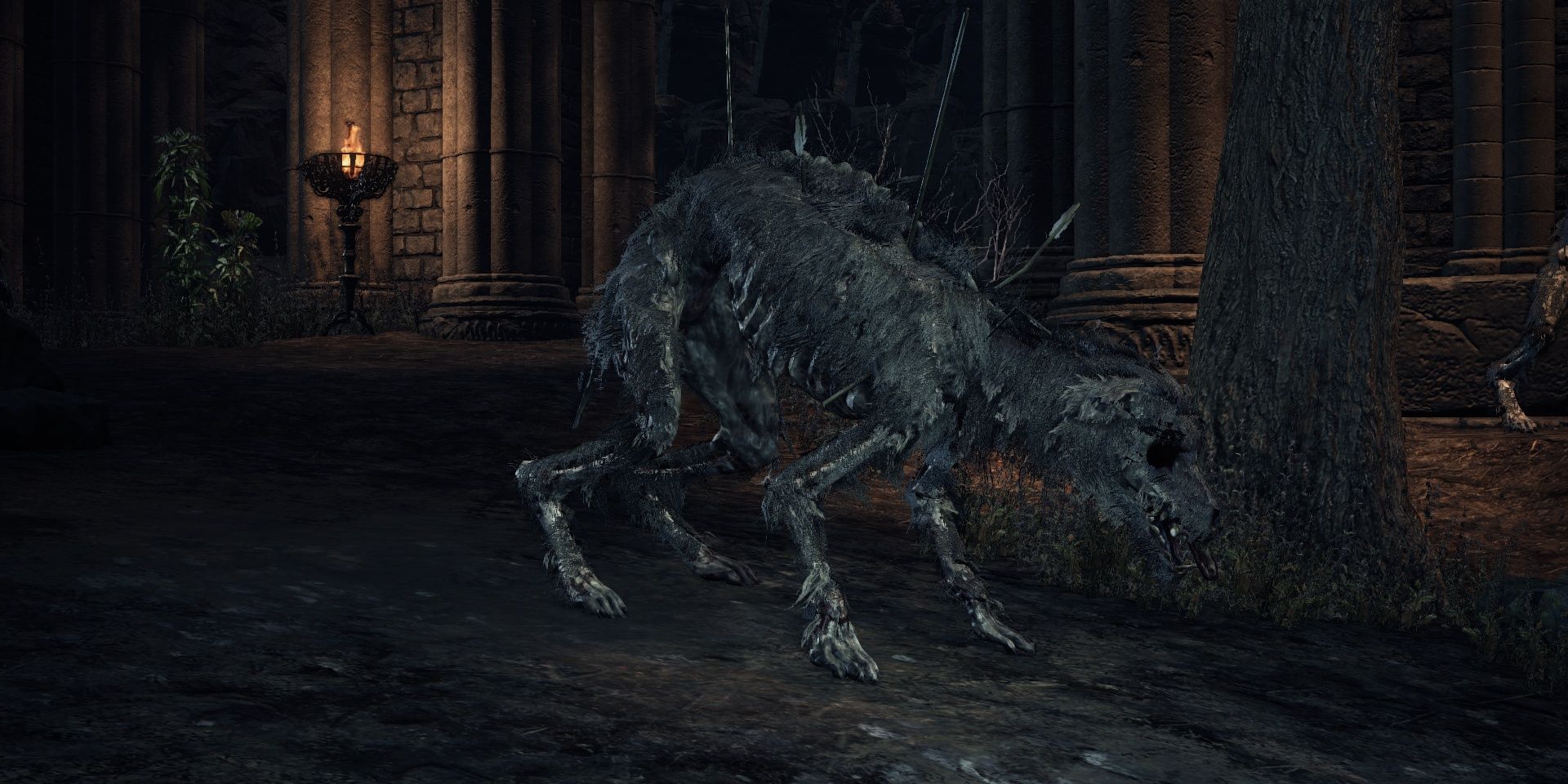 https://darksouls3.wiki.fextralife.com/Starved+Hound