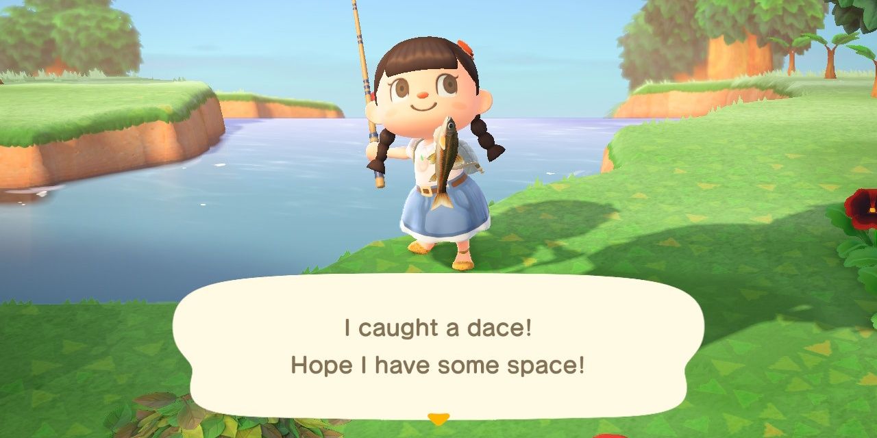 The 5 Best Fish Puns In Animal Crossing New Horizons (& The 5 Worst)