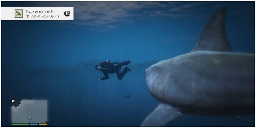 A shark chasing after the player