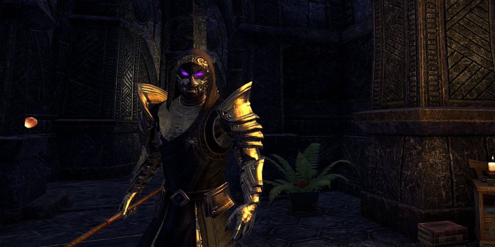 Elder Scrolls Online Magicka Dragonknight PvE PvP Build