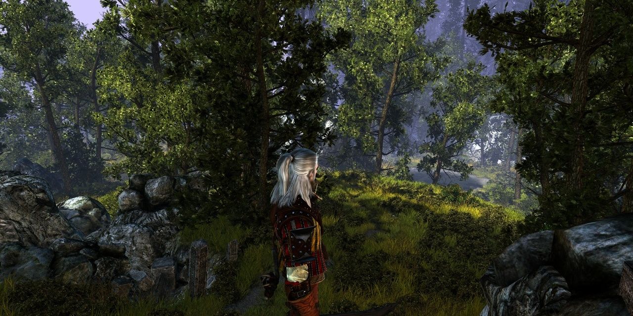 Extreme Quality Flora in The Witcher 2