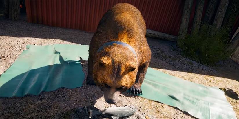 Far-Cry-5-Cheeseburger-Bear