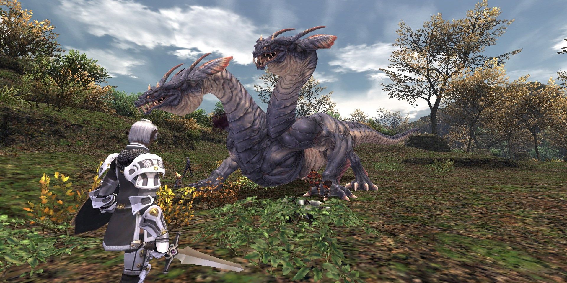 Final Fantasy XI Online combat two-heased dragon knight in plate