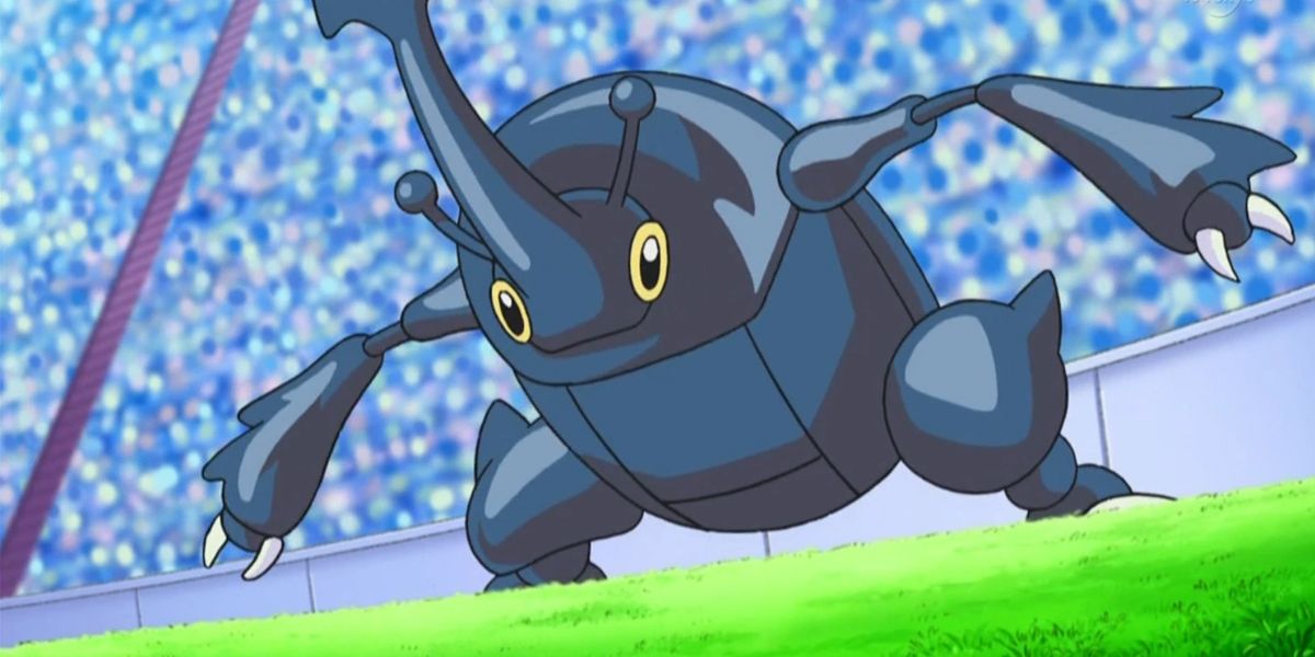 The Heracross Pokémon