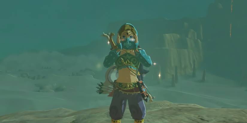 Legend of Zelda Breath of the Wild Gerudo Link Blush