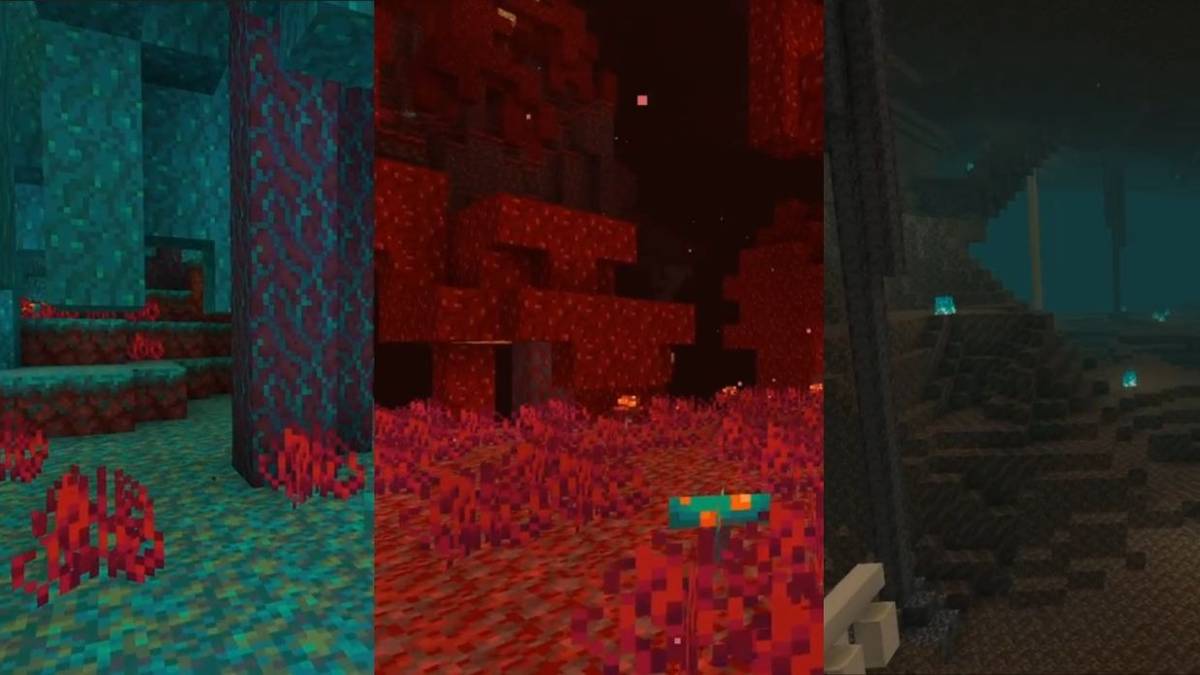 minecraft nether Update New Biomes