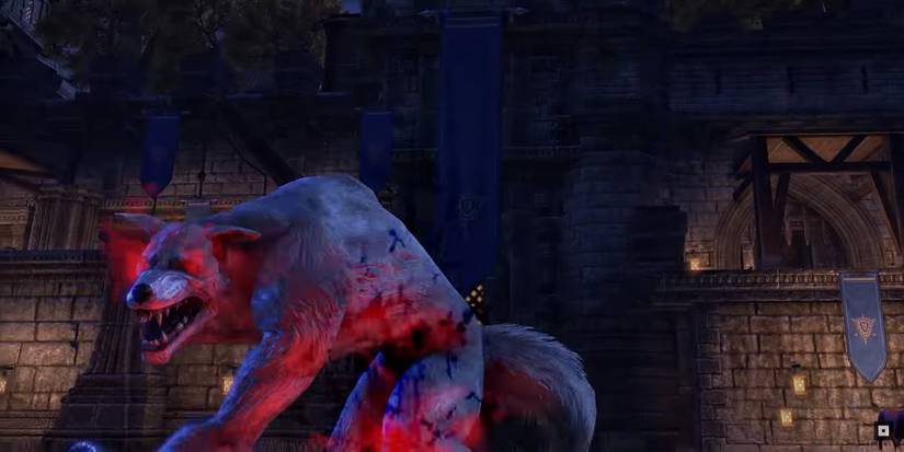 Necromancer Builds - Werewolf