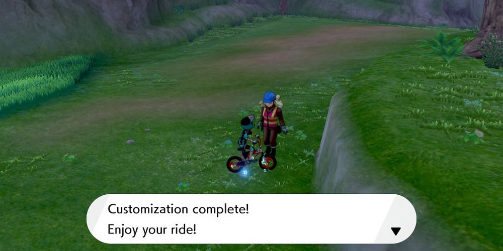 Pokemon Bike Customization