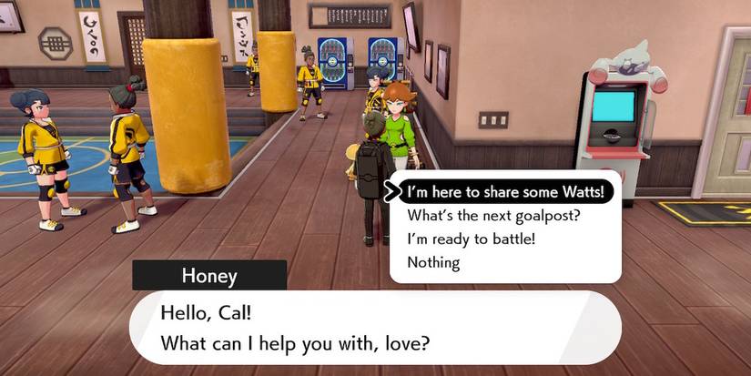 Pokemon Honey Dojo Upgrade