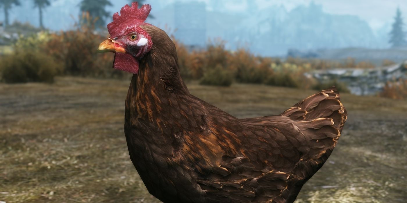 A Chicken in Skyrim