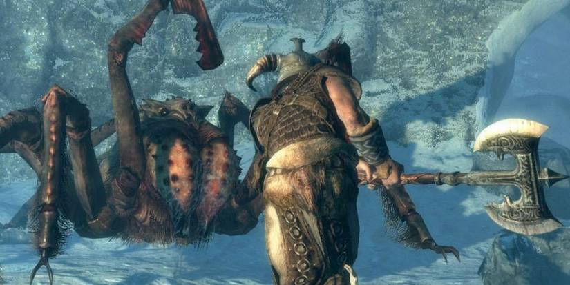 Skyrim Fighting Spider Cropped