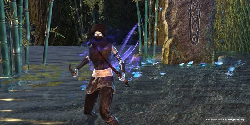 Elder Scrolls Online Sorcerer Builds Windwalker