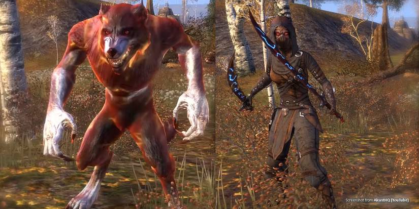 Werewolf Templar Builds Elder Scrolls Online