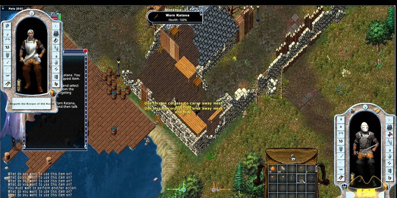 Ultima Online screenshot with UI