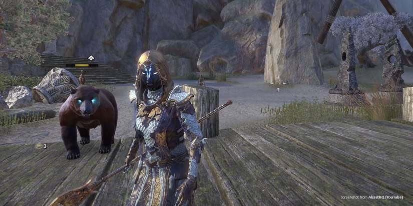 Warden Builds - Ice and Fire