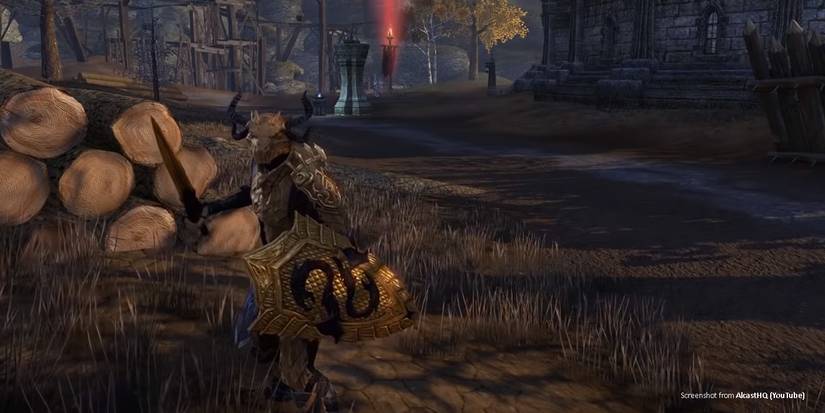 Warden Builds - Werewolf