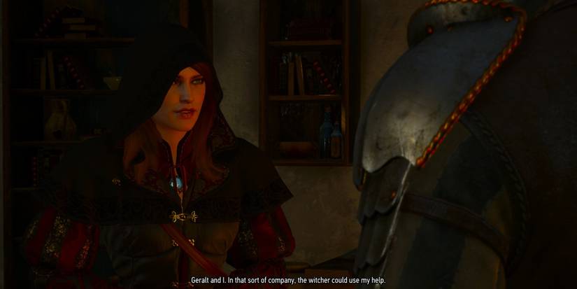 Witcher Anna Henrietta Geralt Company