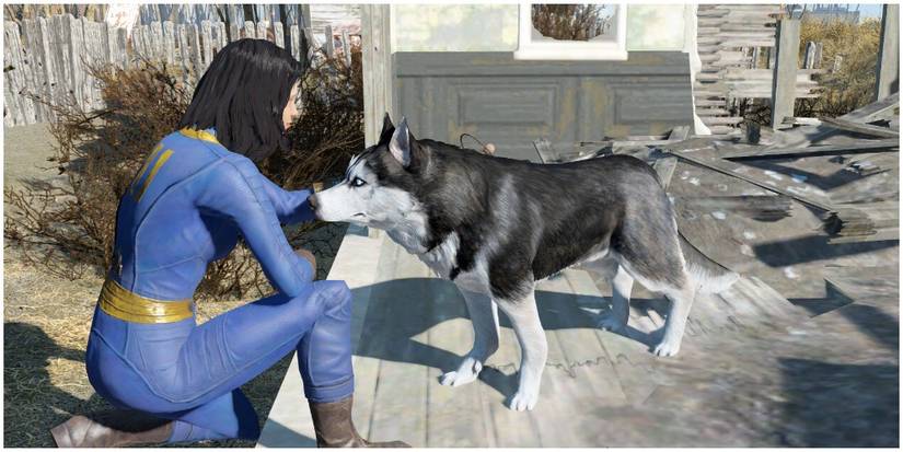 The player petting a dog