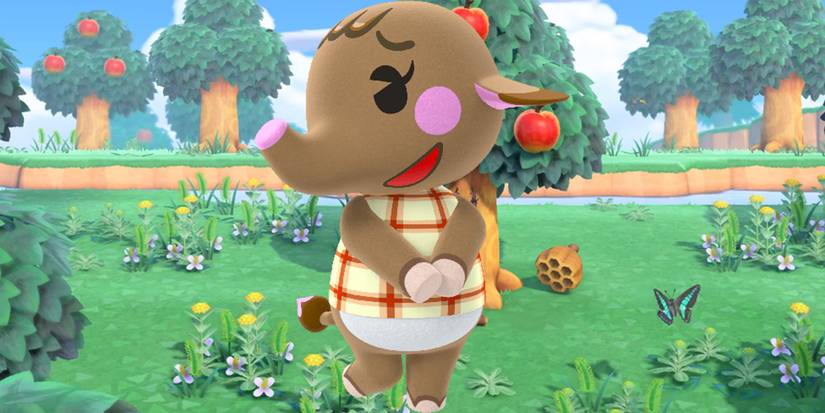 animal crossing new horizons